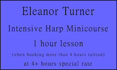 Harp Lesson One Hour Special (when booking 4+ hours on minicourse basis)